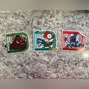 Disney passholder magnets